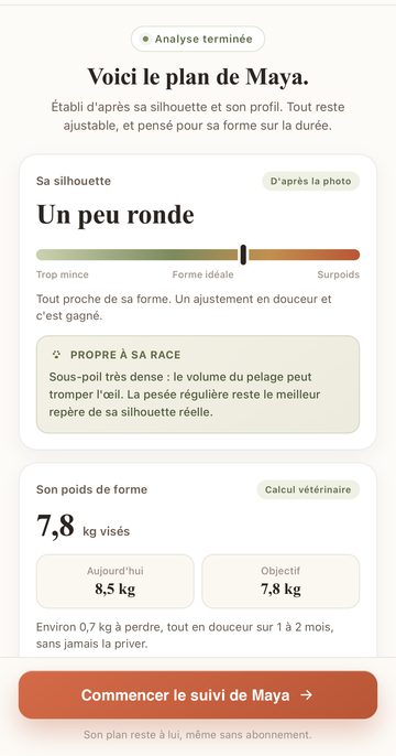 Écran PetShape : la silhouette de Maya située entre trop mince et surpoids